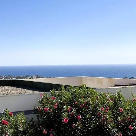 Vue Avec Terrasse Et Piscine Appartement Bandol
